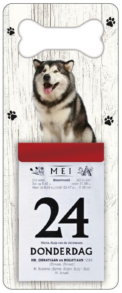 Scheurkalender 2027 Hond: Alaska Malamute