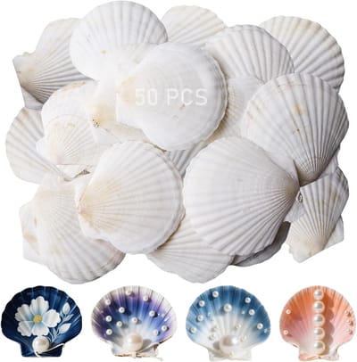Zandbak Schelp - Natuurlijke Schelpen - Witte Scallops - Handgeselecteerde Kwaliteit - Ideaal voor DIY en Decoratie - Voor Feesten en Aquaria