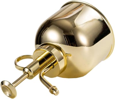 Roestvrijstalen Gieter - Planten Gieter - Bewateren van Planten - Kleine Uitloop - 15 cm Hoog - Goud