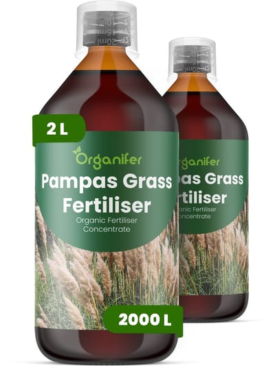 Vloeibare Meststof Voor Pampasgras 2X1 L Voor 2000 L - Npk 2-1-8 - Vergroot De Pluimgrootte - Dichtheid En De Seizoensgebonden Bloei-Impact - Versterkt Stengels Voor Hoge - Rechtopstaande Groei Bij Winderige Omstandigheden - Organifer
