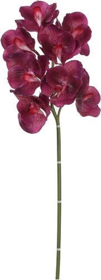 Mica Decorations orchidee maat in cm: 75 paars