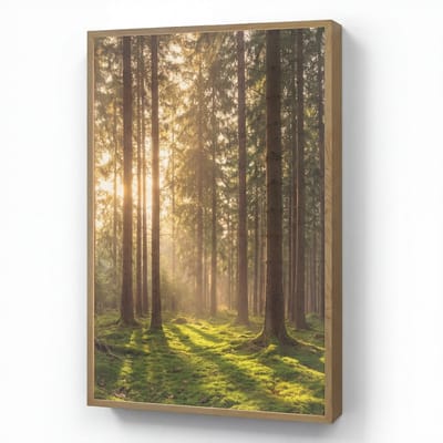 Wandlamp 70x100 cm - Oplaadbaar - Bos - Gras - Zonlicht - Wandlampen binnen woonkamer - Slaapkamer lamp - Decoratieve nachtlamp - Vloerlamp draadloos