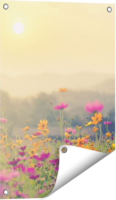 Gards Tuinposter Bloemenveld met Kosmos - Zonsondergang - 40x60 cm - Tuindoek - Tuindecoratie - Wanddecoratie buiten - Tuinschilderij