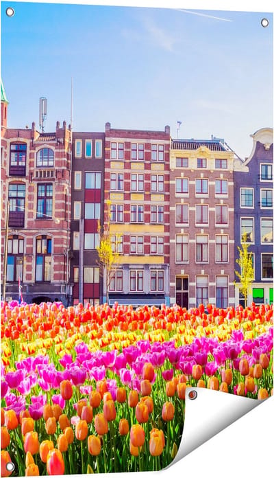 Gards Tuinposter Amsterdamse Huisjes met Tulpen - Kleur - 60x90 cm - Tuindoek - Tuindecoratie - Wanddecoratie buiten - Tuinschilderij