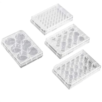 Celkweekplaten - Laboratoriumschalen Petrischalen - Wetenschappelijk onderzoek - Gasuitwisselingsdeksel - 125 x 85 x 23 mm - Transparant