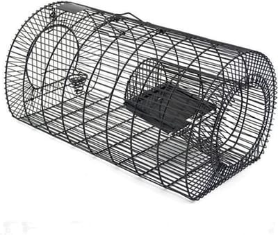 Vangkooi voor meerdere ratten Vangt meerdere ratten in een setting