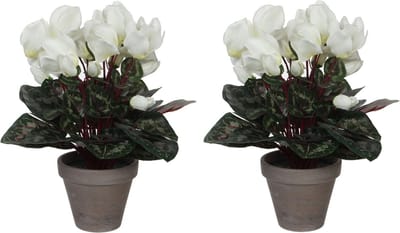 Mica Decorations Kunstplant - 2x stuks - cyclaam - wit - in pot - 30 cm - Kunstplanten met bloemen