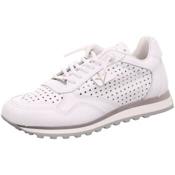Lage Sneakers Cetti -