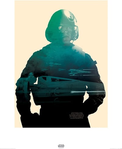 Star Wars Episode VII Poe Tri Art Print 60x80cm | Poster