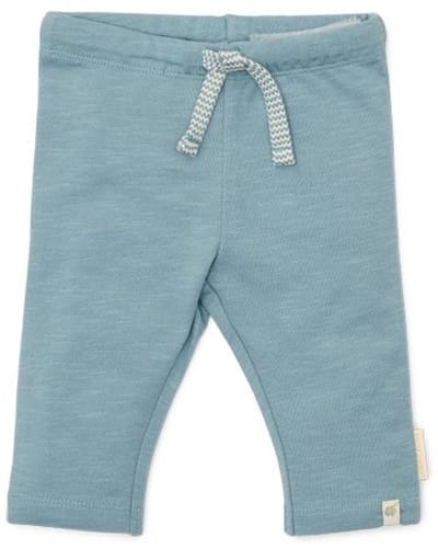 Little Dutch Lange broek - Maat 50 - Legging Jongens - Stone Blue, Blauw - Forest Friends Newborn