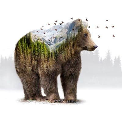 Peinture Diamant 5D Animal Ours Rond Complet Broderie Diamant 20X30CM gray