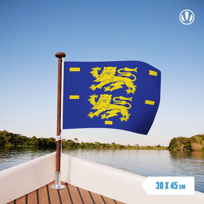 Vlag West-Friesland 30x45cm