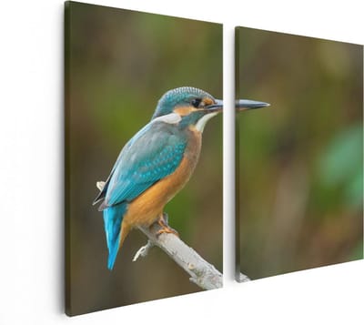 Artaza Canvas Schilderij Tweeluik Blauwe IJsvogel Op Een Tak - 80x60 - Foto Op Canvas - Canvas Print
