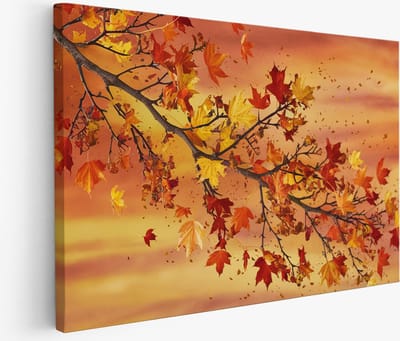 Saammp Muurcirkel Hout - Sakura Bloesem Lente - Natuur - Abstract - Ø 90 - Wandcirkel - Wanddecoratie Cirkel - Muurdecoratie Woonkamer - Kantoor Decoratie