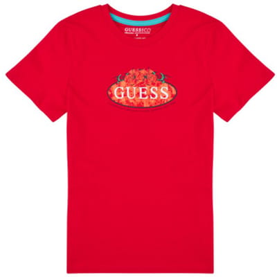 Guess  T-shirt Korte Mouw T SHIRT