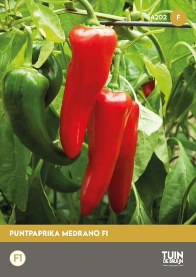 Puntpaprika Medrano F1 Zaden – Paprika Zaden – ±10 Zaden – Zoete Puntpaprika – Hoge Opbrengst – Voor Kas, Tuin en Pot – Capsicum Annuum - Tuin de Bruijn® zaden