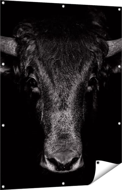 Gards Tuinposter Stierenkop - Stier - Zwart Wit - 90x120 cm - Tuindoek - Tuindecoratie - Wanddecoratie buiten - Tuinschilderij