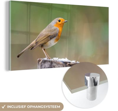 MuchoWow® Glasschilderij 40x20 cm - Schilderij acrylglas - Dieren - Vogel - Roodborstje - Foto op glas - Schilderijen