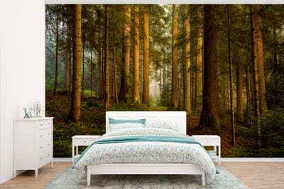 Behang - Fotobehang Bos - Natuur - Bomen - Landschap - Bladeren - Breedte 405 cm x hoogte 260 cm