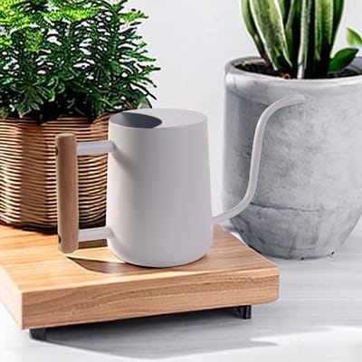 Gieter voor kamerplanten - kleine roestvrijstalen gieter met lange uitloop voor planten - moderne decoratie voor binnen en buiten