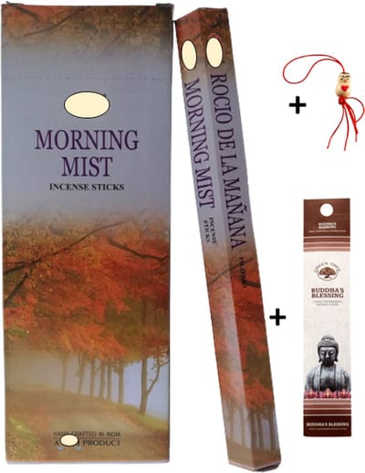 Doos met 120 stokjes - Wierook - Wierookstokjes - Incense sticks - Morning Mist + 5 mini wierookstokjes + Gelukspoppetje