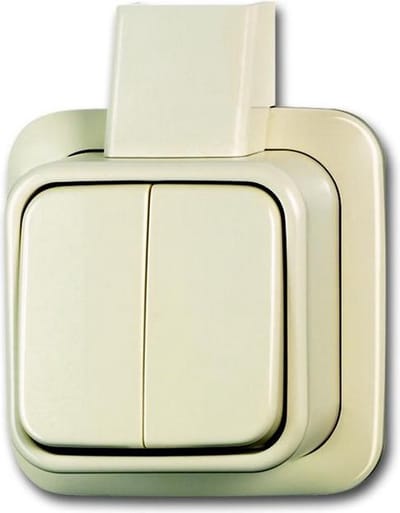 Standaard Opbouwschakelaar ABB Busch-Jaeger - 2CKA001042A1011 - E2MF7