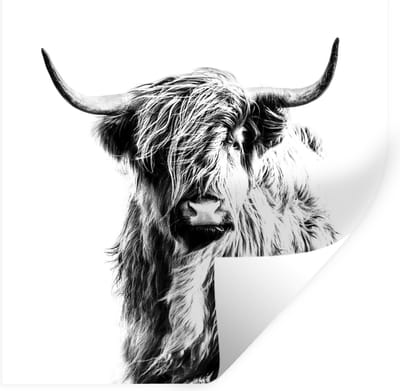 Muurstickers - Sticker Folie - Zwart - Wit - Schotse Hooglander - Dieren - 100x100 cm - Plakfolie - Muurstickers Kinderkamer - Zelfklevend Behang XXL - Zelfklevend behangpapier - Stickerfolie