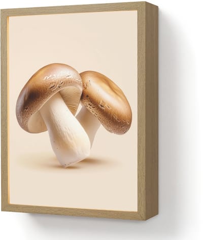 Wandlamp 30x40 cm - Oplaadbaar - Champignons - Zacht - Beige - Wandlampen binnen woonkamer - Slaapkamer lamp - Decoratieve nachtlamp - Vloerlamp draadloos