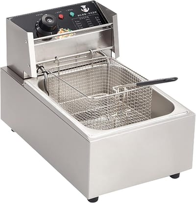 Elektrische Friteuse - Friteuse met mand - Thuis Frituren - Instelbare Temperatuur - 10L of 20L - Zilver
