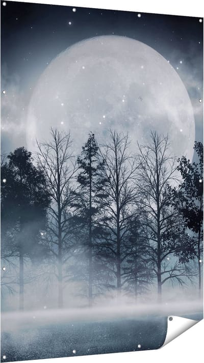 Gards Tuinposter Maan tussen de Bomen in de Nacht - 120x180 cm - Tuindoek - Tuindecoratie - Wanddecoratie buiten - Tuinschilderij