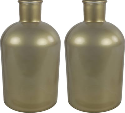 Countryfield bloemen/takken Vaas - 2x Stuks - mat goud glas - fles - D17 x H31 cm
