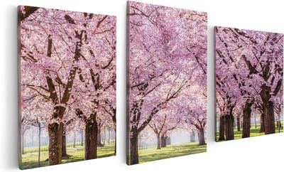 Artaza Canvas Schilderij Drieluik Roze Bloesembomen Park - Bloemen - 120x60 - Foto Op Canvas - Canvas Print