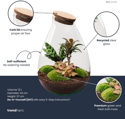 Terrarium - Drop XL Red - ↑ 37 cm - Ecosysteem plant - Kamerplanten - DIY planten terrarium - Mini ecosysteem