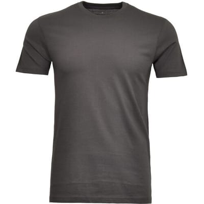 Ragman T-Shirt Uni Round Neck Single Jersey Leisteen / male