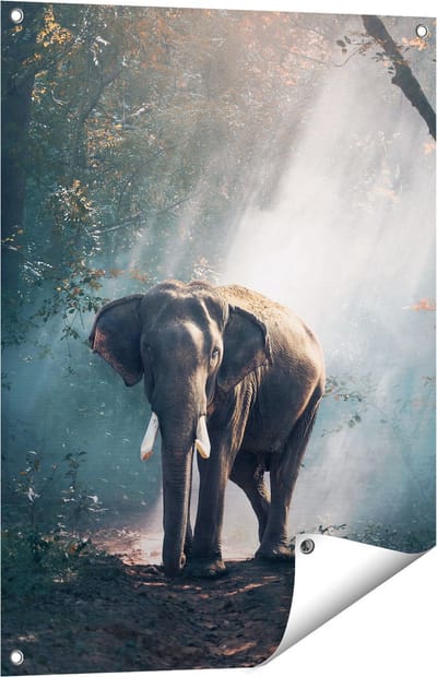 Gards Tuinposter Olifant in het Bos met Zonneschijn - 60x80 cm - Tuindoek - Tuindecoratie - Wanddecoratie buiten - Tuinschilderij