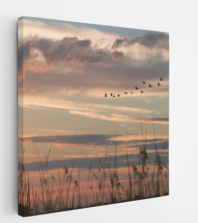 Saammp Canvas Schilderij -Vogels tijdens Golden hour - Zonsondergang - Landschap - Natuur - 20x20 - Foto op canvas - Wanddecoratie - Muurdecoratie Woonkamer - Slaapkamer decoratie - Canvas Print