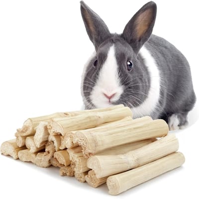 Natuurlijke Timothy Hooi Sticks voor Konijnen, Chinchilla's en Cavia's