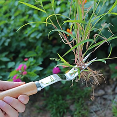 Onkruidsteker - Wortelverwijderaar - Tuinonderhoud - Ergonomisch Ontwerp - 29 cm - Zilverkleurig