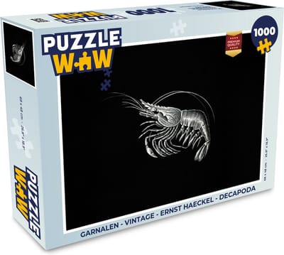 Puzzel Garnalen - Vintage - Ernst Haeckel - Dieren - Kunst - Legpuzzel - Puzzel 1000 stukjes volwassenen