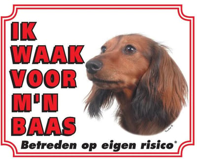Teckel Waakbord - Langhaar
