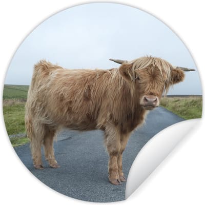 Behangcirkel 120x120 cm - Muurstickers Schotse Hooglander - Weg - Gras - Muurcirkel woonkamer - Wandcirkel slaapkamer - Kamer decoratie zelfklevend - Muurdecoratie accessoires XXL