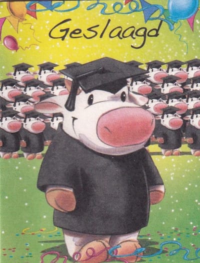 Geslaagd - Bloemkaartjes - 25 Stuks – 5 x 6.5 cm – Minikaartjes - Bloemist – Cadeau - JK- 4