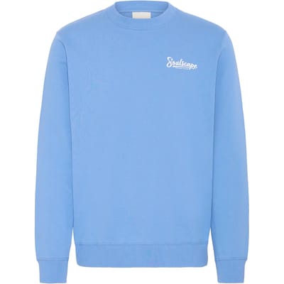 Sweatshirt Solid SDTORRENCE