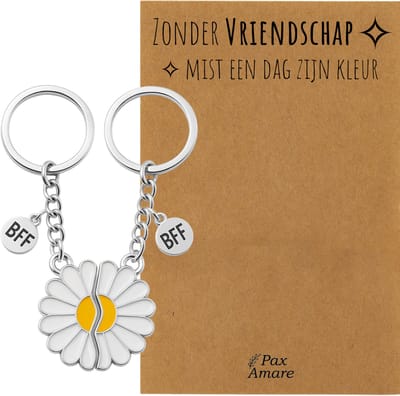BFF Sleutelhanger voor 2 'Zonder Vriendschap mist een dag zijn kleur' - Magnetische Bloem - Sleutelhanger set op Cadeau Kaartje - Zilverkleurig - Vriendschap Symbool - Pax Amare