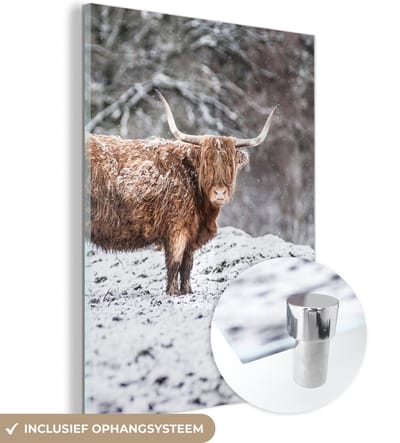 MuchoWow® Glasschilderij 120x160 cm - Schilderij acrylglas - Schotse Hooglander - Boom - Sneeuw - Foto op glas - Schilderijen