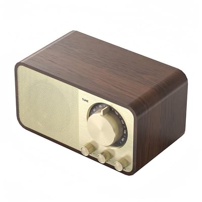 Dailygoods - Draagbare vintage radio - Bluetooth radio met AUX/USB - Compact formaat - Retro design - Kofferradio voor keuken en slaapkamer - 5W luids...