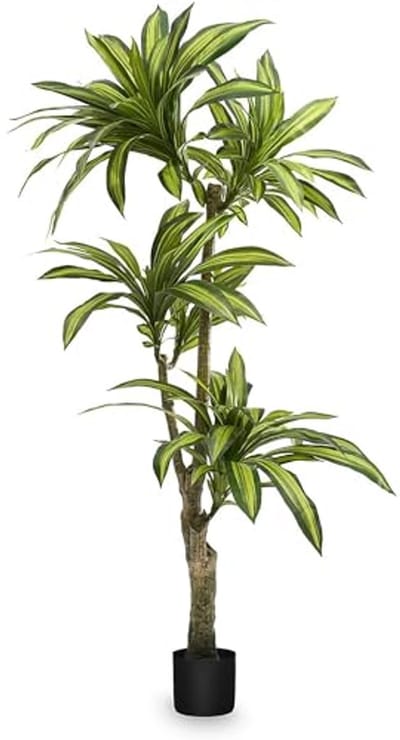 Kunstmatige Dracaena 170 cm | Hyperrealistische Decoratieve Plant | Tropische Boom voor Woon- en Kantoorinrichting