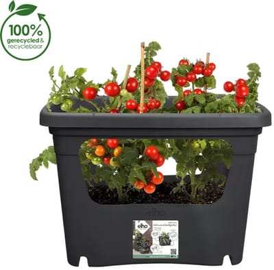 Elho Green Basics Stack & Grow 50 - Stapelbare Kweekbak - Verticaal Tuinieren - 100% Gerecycled Plastic - Ø 50.9 x H 35.7 cm - Living black