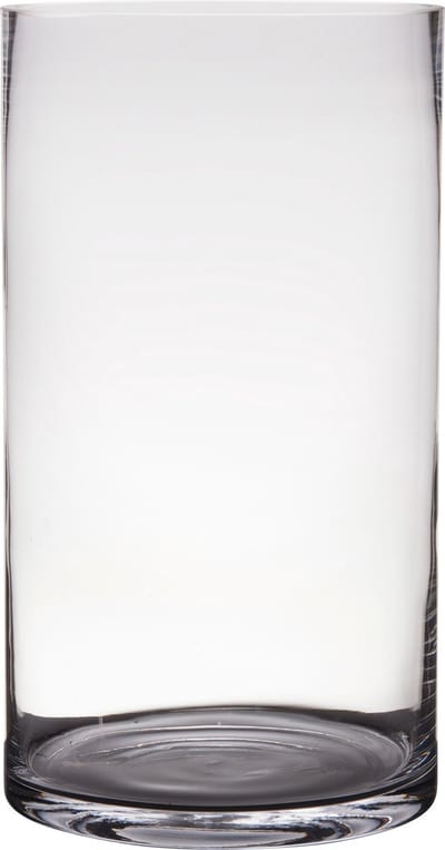 Hakbijl Glass Cilinder vaas - transparant - glas - D25 x H45 cm - Bloemen - Boeketten - Siertakken