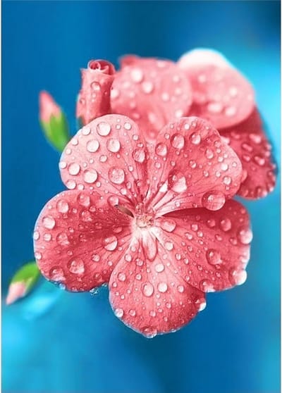 Diamond Painting Dew Drops - Wizardi